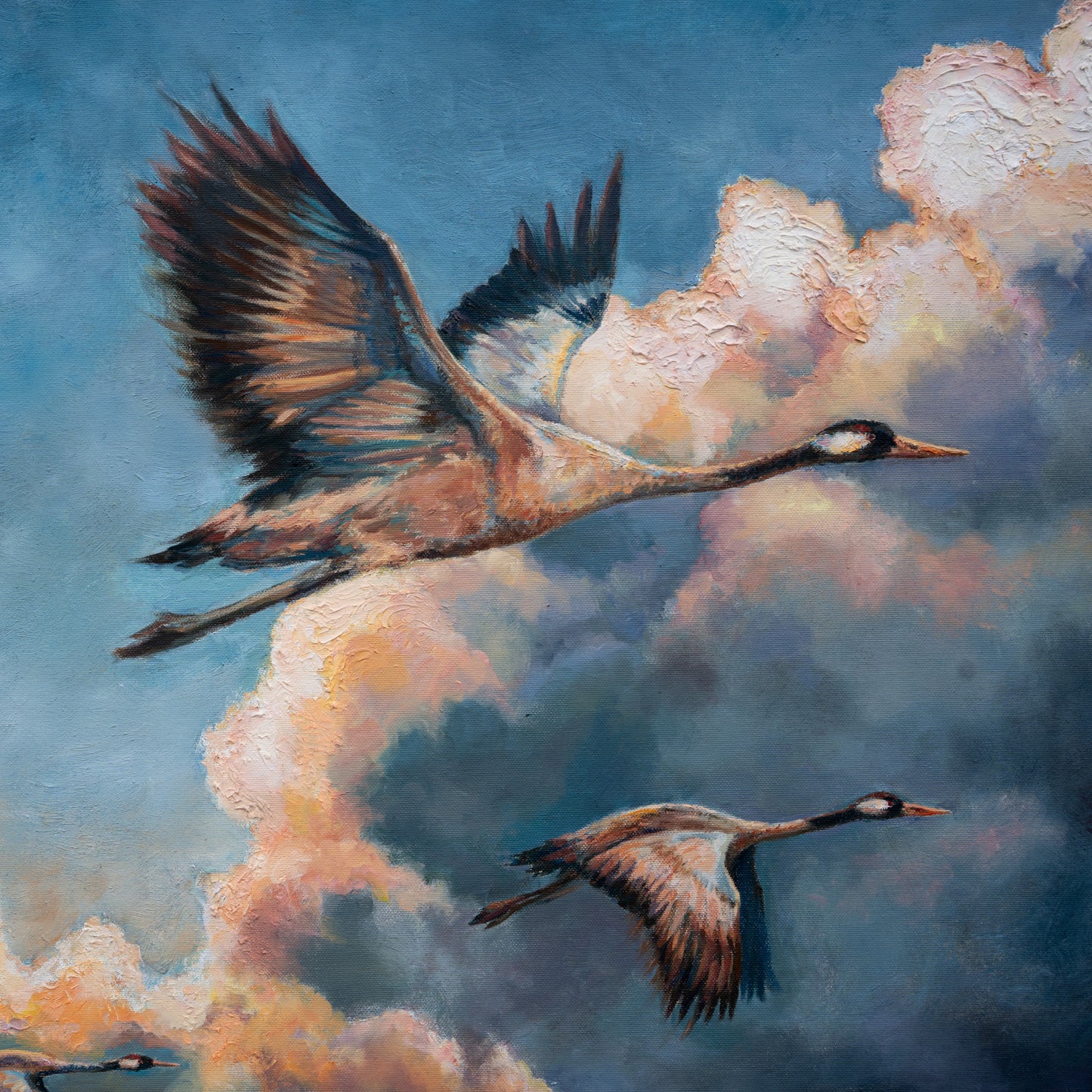 Chasing The Clouds